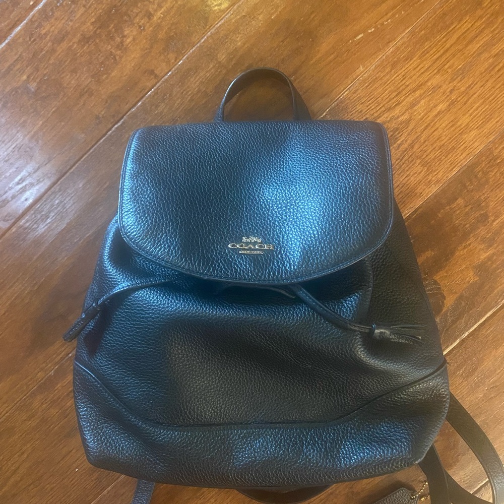 Coach Black Leather Mini Bag